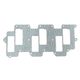 Intake Gasket