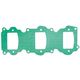 Intake Gasket