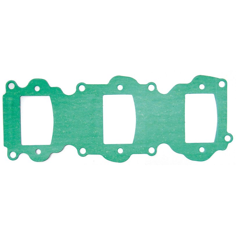 Intake Gasket