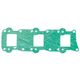 Intake Gasket