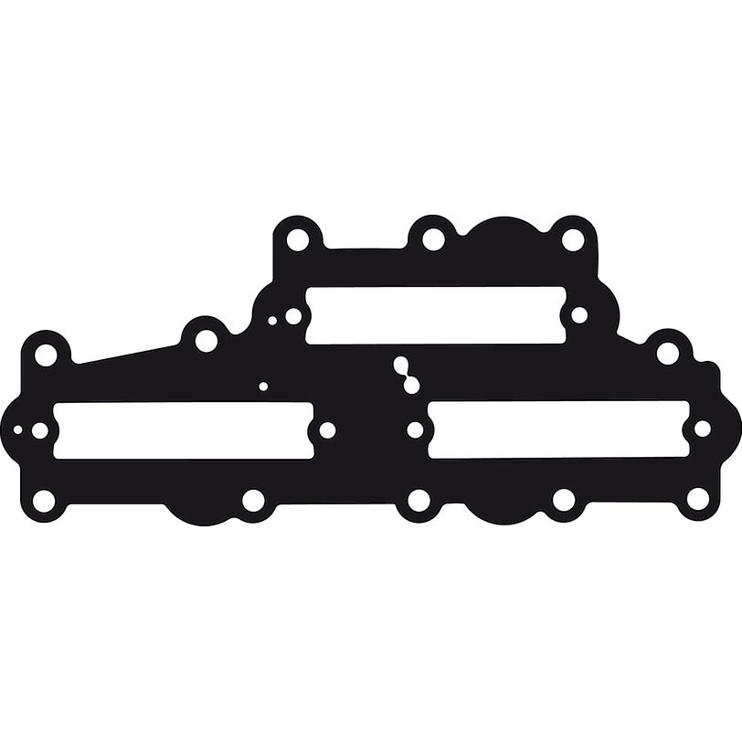 Intake Gasket