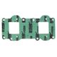 Intake Gasket