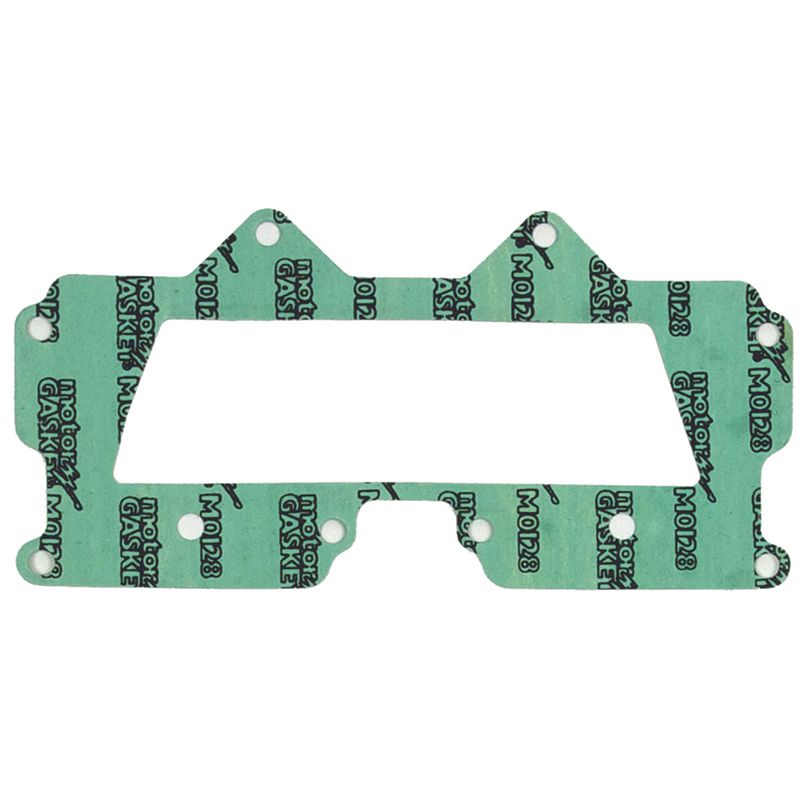 Intake Gasket