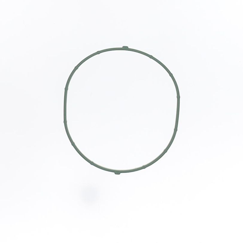 Intake Gasket