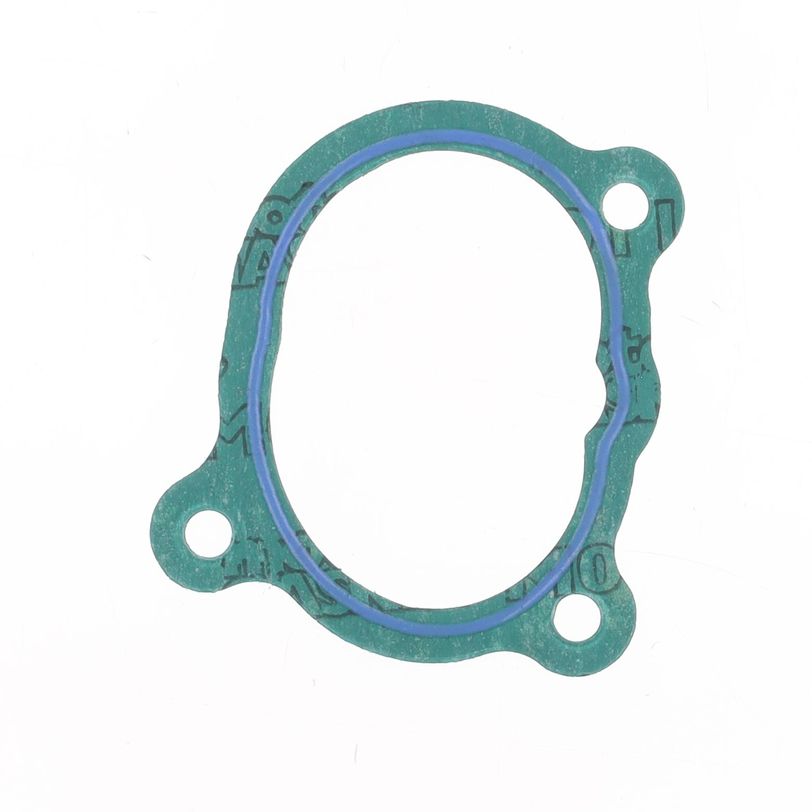 Intake Gasket
