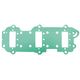 Intake Gasket