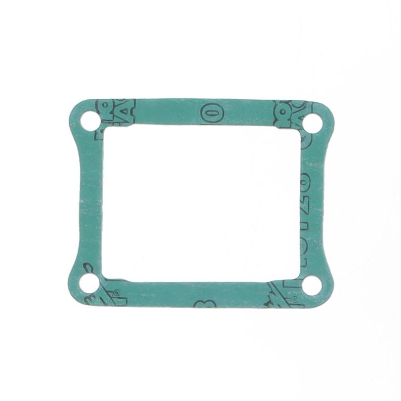 Intake Gasket