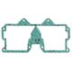Intake Gasket