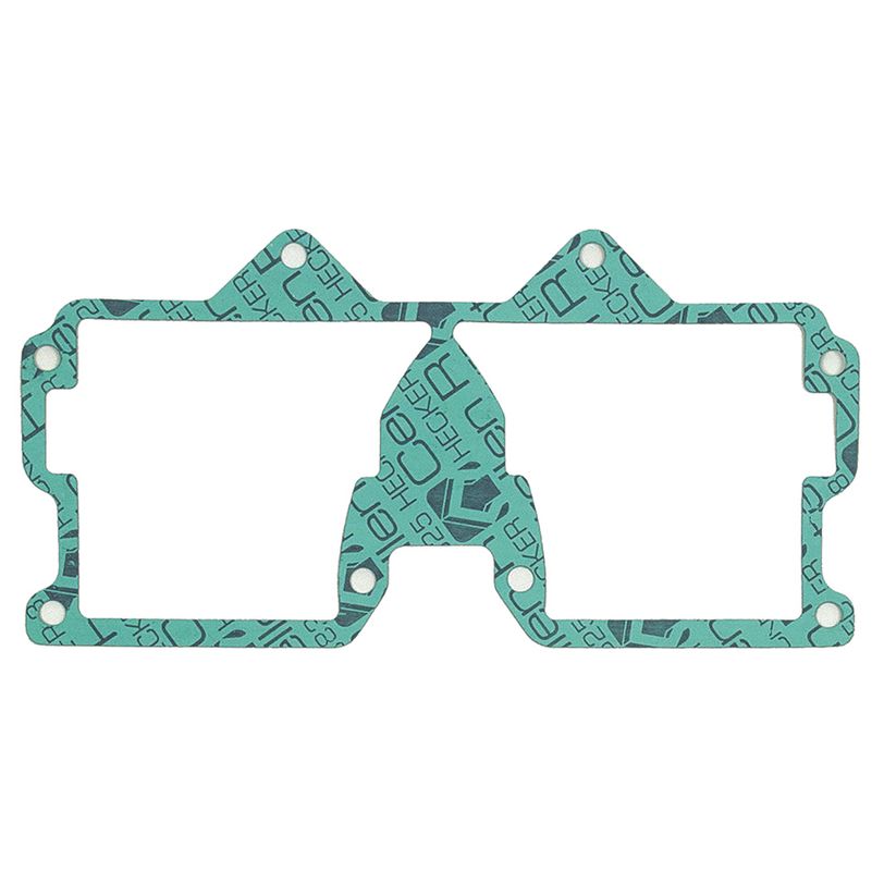 Intake Gasket