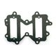 Intake Gasket