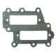 Intake Gasket