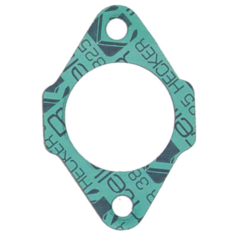 Intake Gasket Athena
