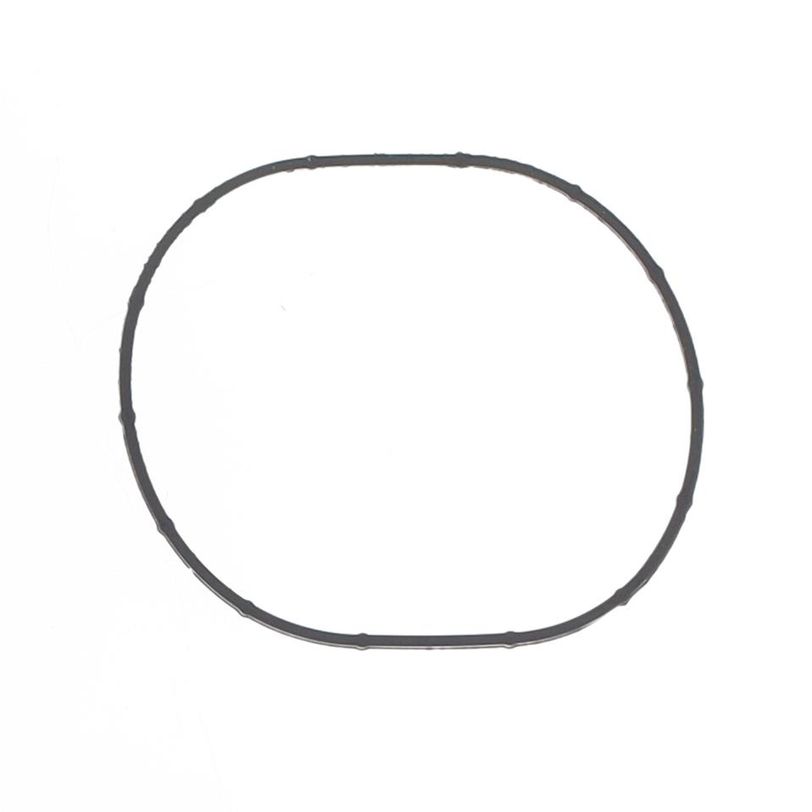 Intake Gasket