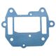 Intake Gasket