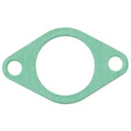 Intake Gasket