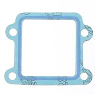 Intake Gasket