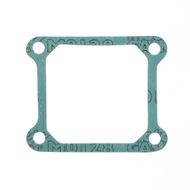 Intake Gasket