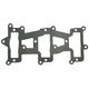 Intake Gasket