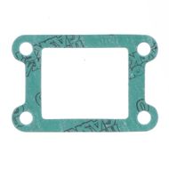 Intake Gasket