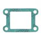 Intake Gasket