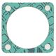 Intake Gasket