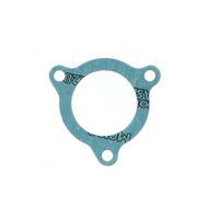 Intake Gasket