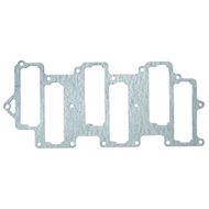 Intake Gasket