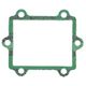 Intake Gasket