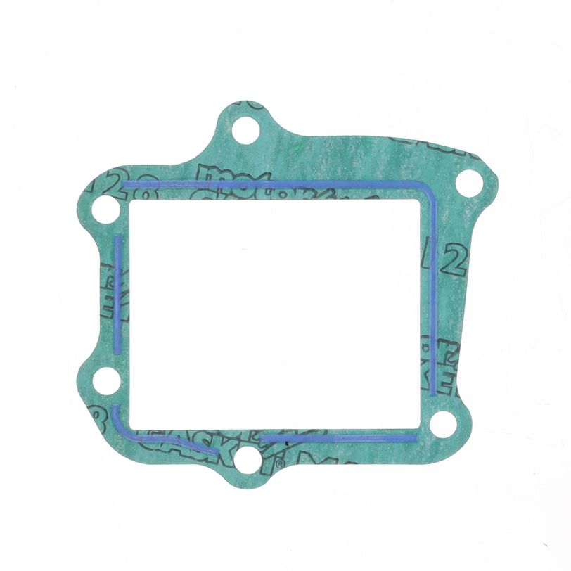 Intake Gasket
