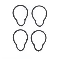 Intake Manifold Gasket Kit