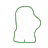 Intake Manifold Gasket