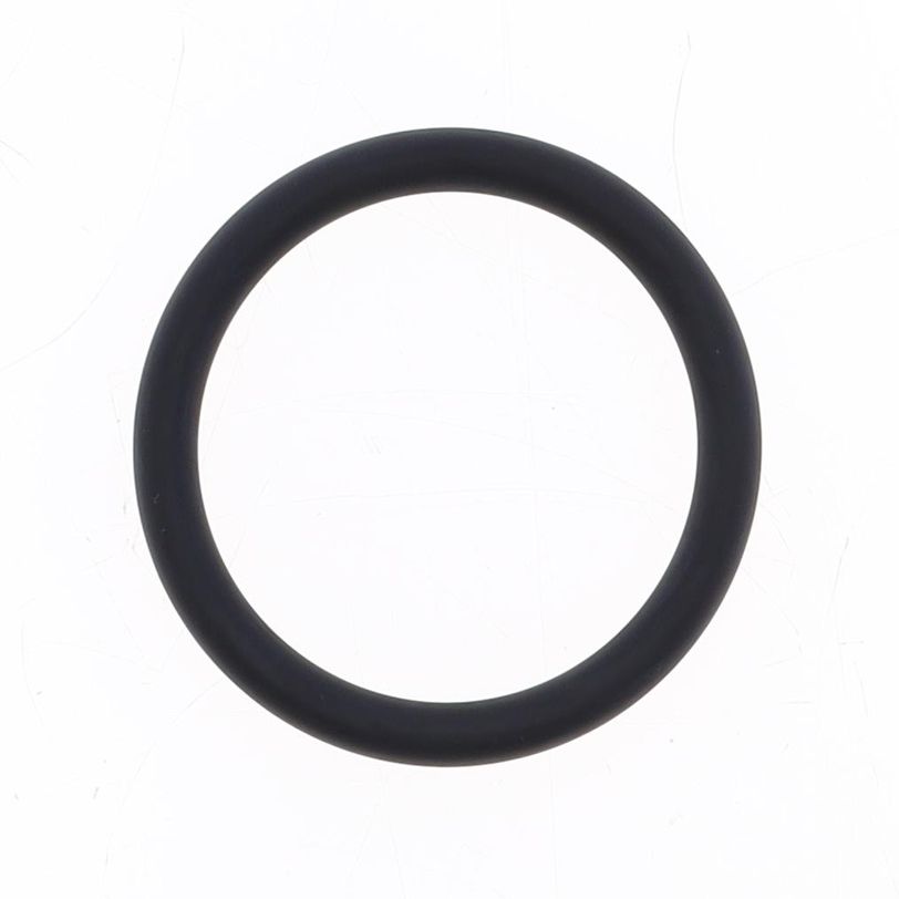 Intake O-ring