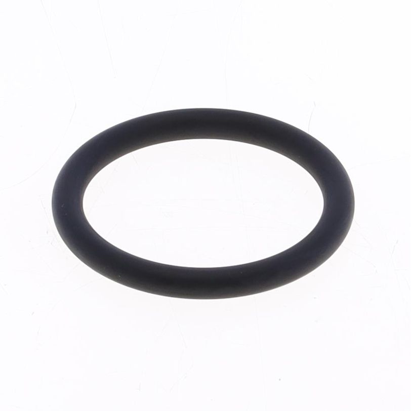 Intake O-ring