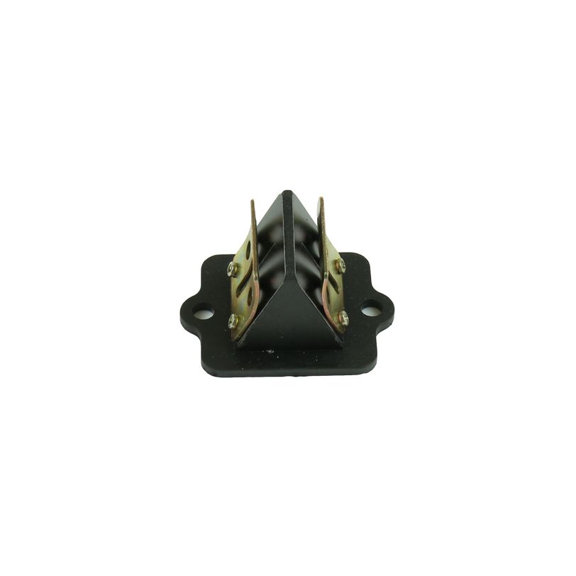Intake Reed Valves