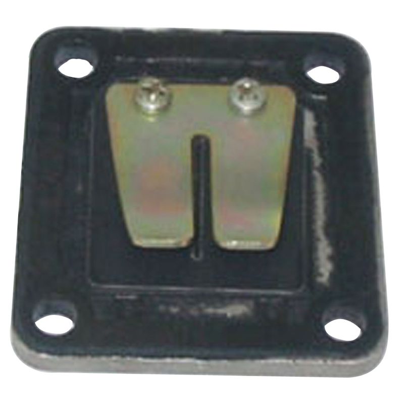 Intake Reed Valves