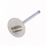 Intake Valve