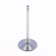 Intake Valve
