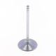Intake Valve