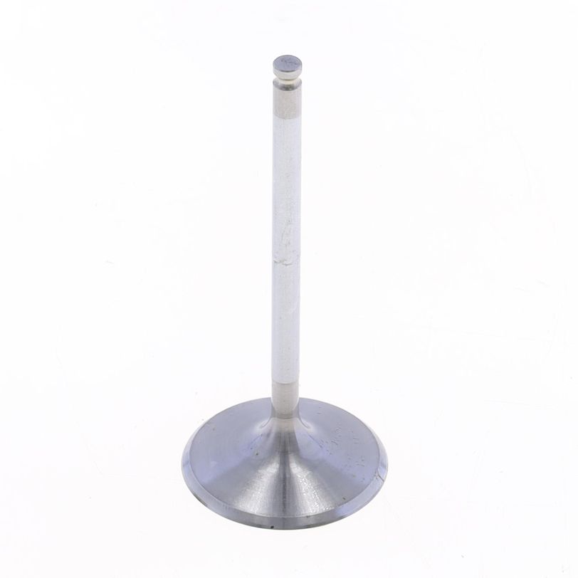 Intake Valve