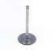 Intake Valve