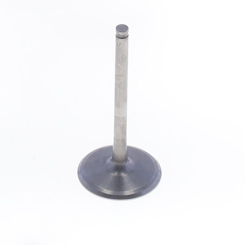 Intake Valve