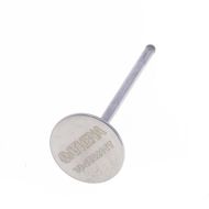 Intake Valve