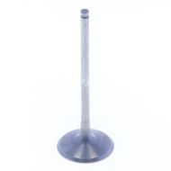 Intake Valve