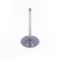 Intake Valve