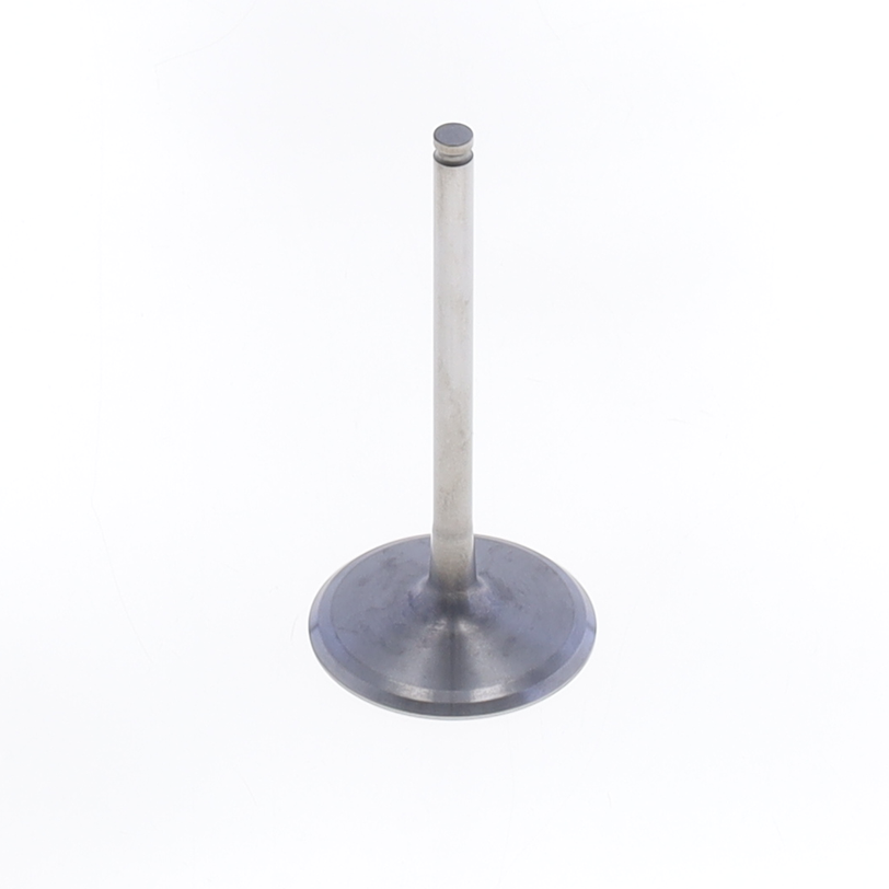 Intake Valve