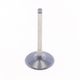 Intake Valve