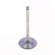 Intake Valve