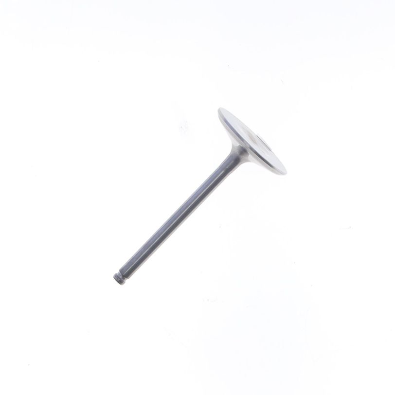 Intake Valve