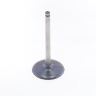 Intake Valve