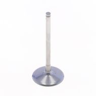 Intake Valve